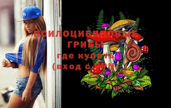 дурь Новозыбков