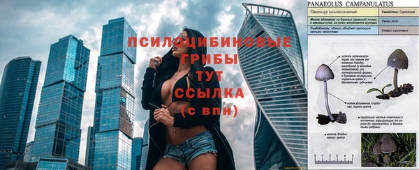 mix Дмитров