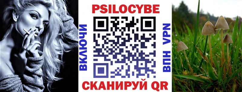 Псилоцибиновые грибы Cubensis Аксай