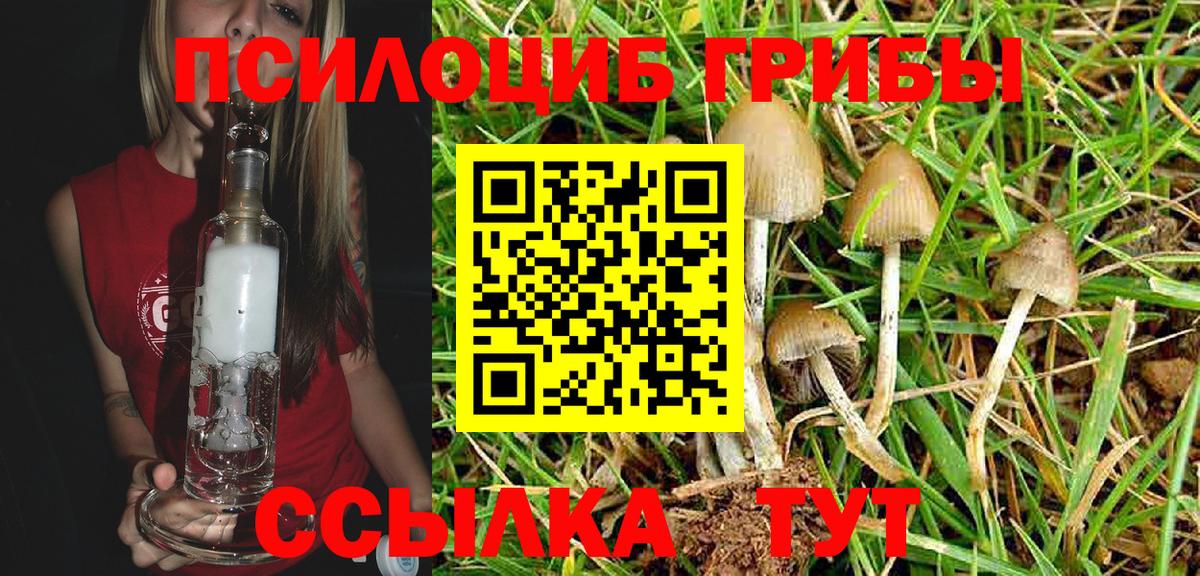 Псилоцибиновые грибы GOLDEN TEACHER Аксай