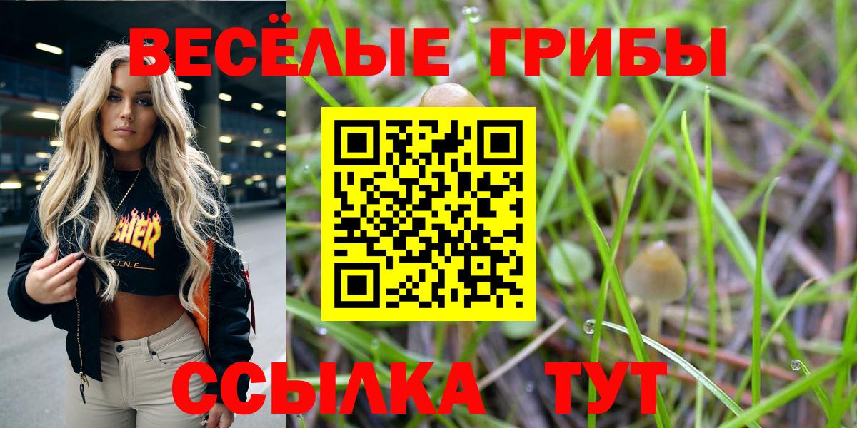 Псилоцибиновые грибы мицелий  Вход с VPN  Аксай 